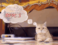 萌主来了 猫