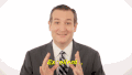 泰迪熊 Ted