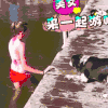 萌宠 可爱 动物