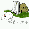 金馆长 草地 磕头 群员好厉害
