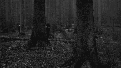 黑夜 树林 眼睛亮 吓人