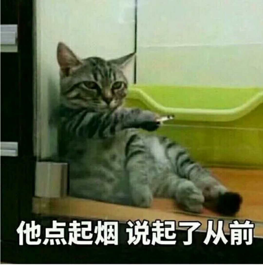 猫咪 喵星人 点起烟 说从前 斗图 搞笑 抽烟