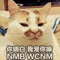 猫咪 斜视 呆萌 你明白我宠你 嘛