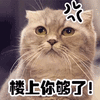 楼上 你够了 猫 可爱 呆萌