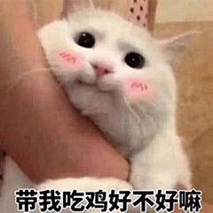 带我吃鸡好不好 猫咪 卖萌