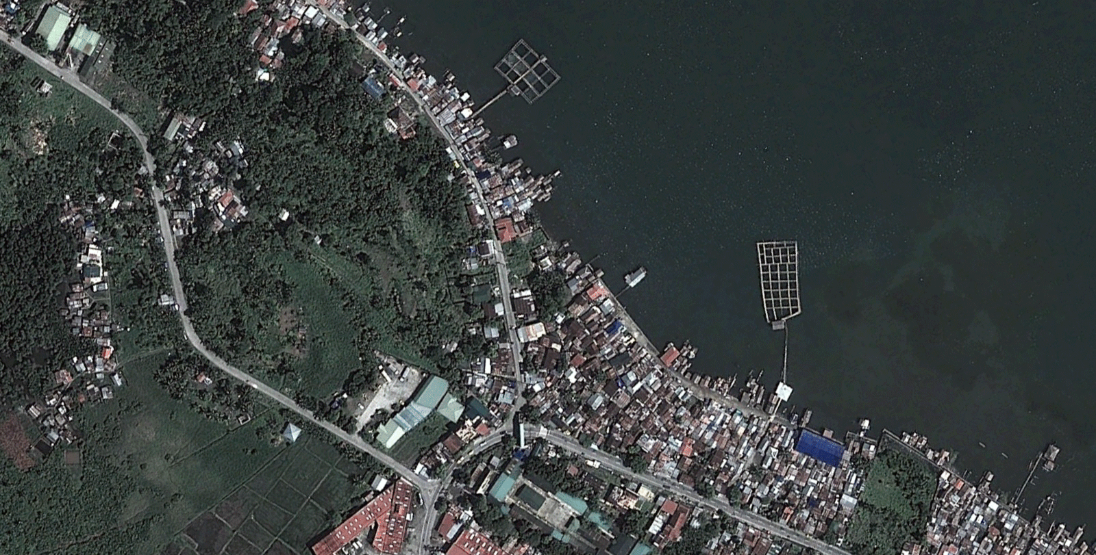 卫星地图 海边 城市 变换