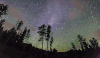 星空 树林 美景