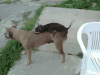 gif gif动画 搞笑GIF