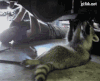 浣熊 raccoon 修理 底盘