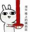 兔子 接住 流血 接住楼上的姨妈血