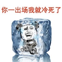金馆长 你一出场我就冷死了 冰块
