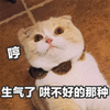 萌宠 喵星人 哼 生气 猫 搞怪 可爱