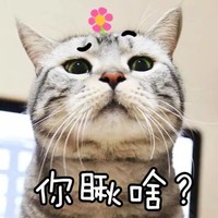 猫咪 大眼睛 小花 你瞅啥