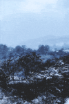 下雪 树木 风景 天空