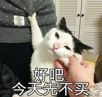 猫咪 好吧今天先不买 抓住不放 捏脸