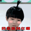 soogif soogif出品 王俊凯 我是谁我在哪