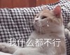 萌宠 喵星人 我什么都不行 我太没用了 伤心 委屈