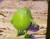 怪兽大学 Monsters+University 秀