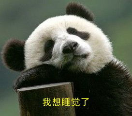 熊猫 国宝 可爱 我想睡觉了