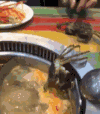 螃蟹 自投罗网 美食 火锅
