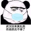 暴漫 文字表情包 武汉回来莫乱跑传染肺炎不得了 搞笑 逗 魔性