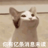 萌宠 猫星人 popo 你有一亿条信息未读 搞怪 逗
