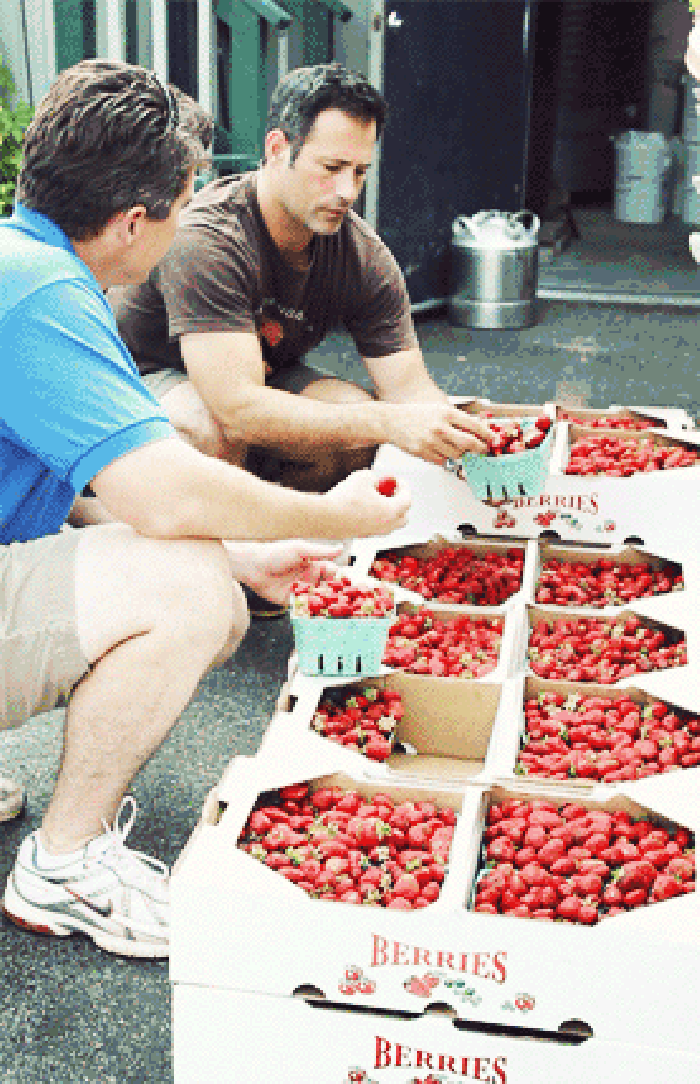 男人 容器 草莓 品尝