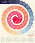 生物学 信息图表  胚胎的形成 演示图