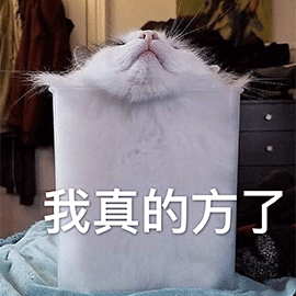 萌宠 猫咪 猫 我真的方了 慌 伤心