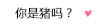 会消失的情话 搞怪 你是猪吗 套路