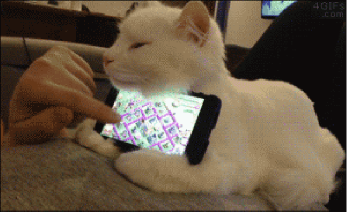 小猫 手机架 呆萌 白色