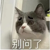 萌宠 猫星人 别问了 难受 呆萌 可爱