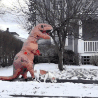 恐龙 狗狗 散步 雪地