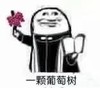 阿门阿前一棵葡萄树 阿门 沙雕 葡萄树