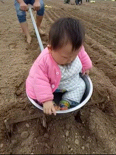 小孩子 坐在耙子上 耕地 可爱