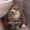 萌宠 猫星人 没有人找我玩 难受 搞怪 逗