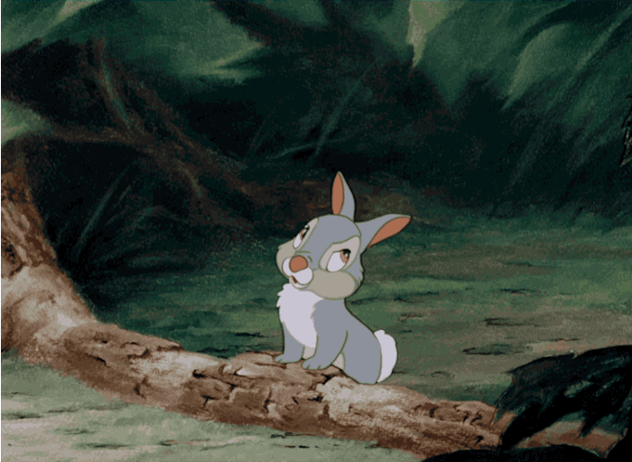 小鹿斑比 动画  可爱的兔子 兔子