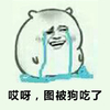 暴漫人物 搞笑 流泪 斗图 哎呀，图被狗吃了