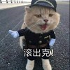萌宠 猫星人 滚出去 生气 呆萌 可爱