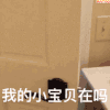 假笑男孩 Gavin 搞怪 我的小宝贝在吗 soogif soogif出品