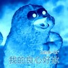 鹦鹉兄弟 我的良心好冰 大约是40° 斗图 搞笑 可爱