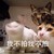 我不拍我不拍 猫咪 揺头 可爱