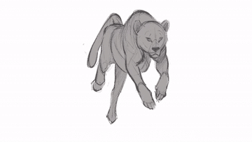 奔跑 手绘动画 特效 豹子