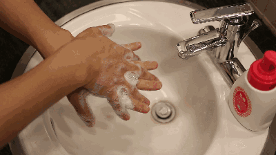 洗手 细菌 洗手液 流感