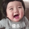 萌娃 崔李浩 傻乐 可爱 搞怪 逗