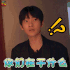 周震南 蒙圈 你们在干什么 soogif soogif出品 放开我北鼻3