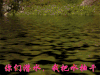水抽干 潜水  隐身 人群