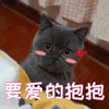 萌宠 猫 猫咪 喵星人 要抱抱 撩