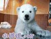 打招呼 hi 小姐姐