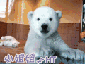 打招呼 hi 小姐姐